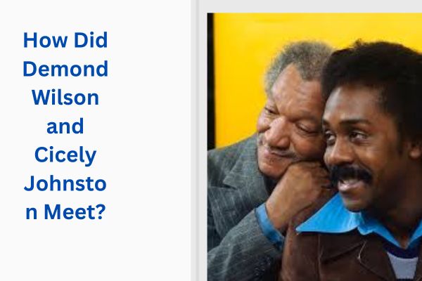 Who Is Demond Wilson Wife? Amazing Story of Cicely Johnston add a subheading 2026 07 14t152308.021