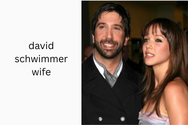 david schwimmer wife