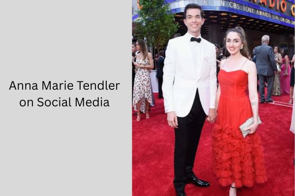 Who Is John Mulaney Ex Wife? Amazing Facts About Anna Marie Tendler add a subheading 2026 09 28t112111.979